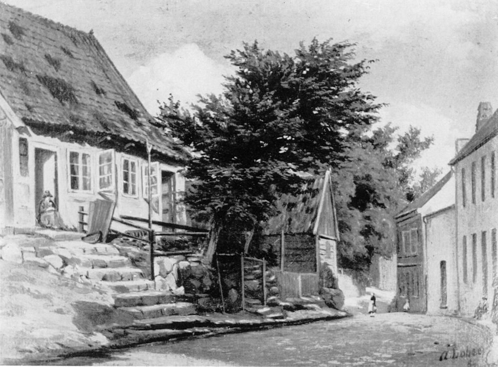 Fleckenstrasse_in_der_Brunswik_um1884.jpg