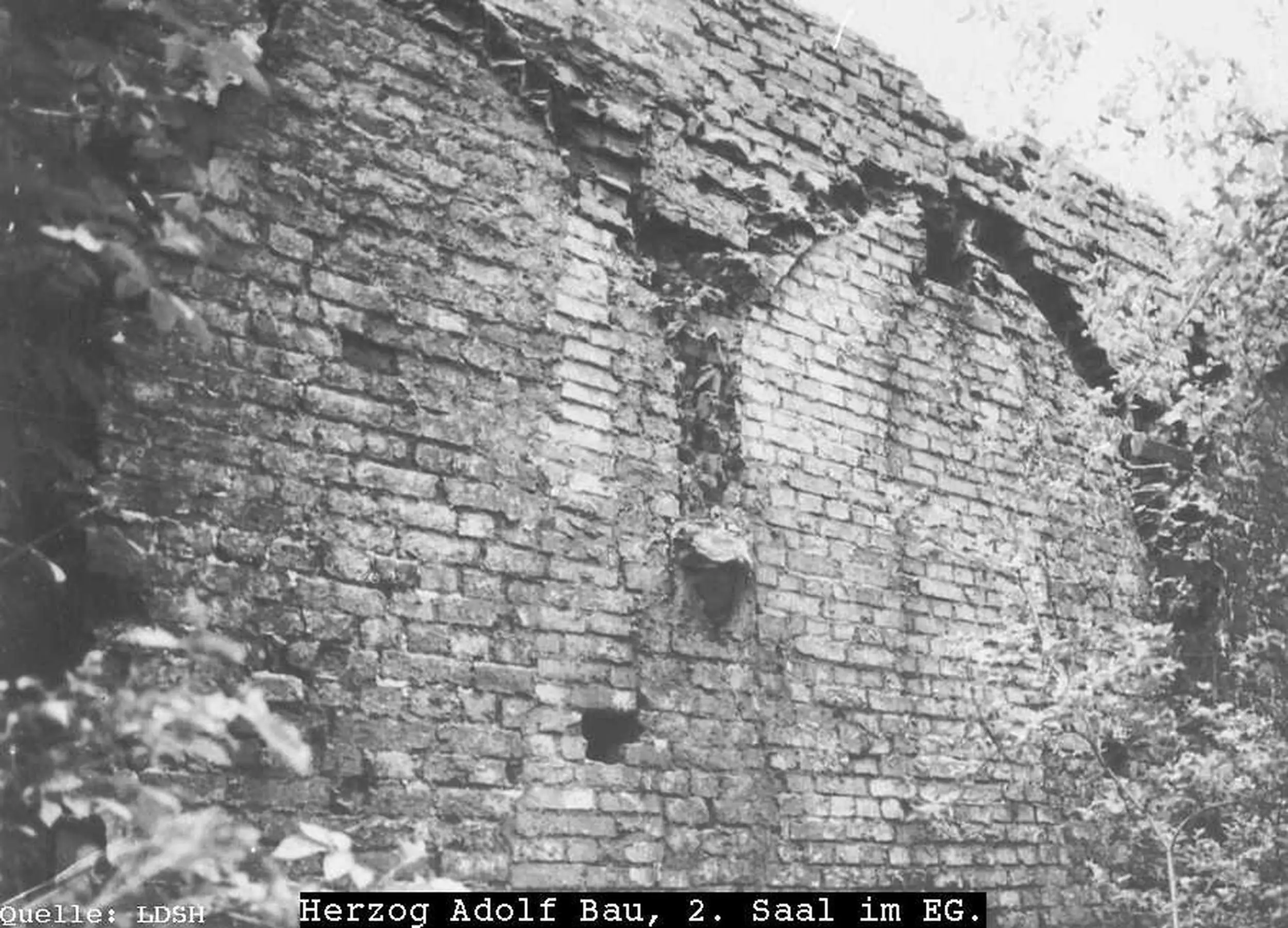 Kieler Schlossruine,Wandlager,Gewölbedecke,Herzog-Adolf-Bau,2. Saal im EG