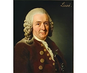 Carl von Linné